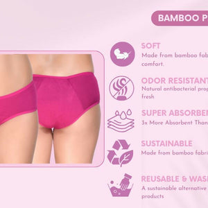 Bamboo Fabric Reusable Period Panty 5 Layer – Absorbent & Leak Proof - Pack Of 1 - EarthBased 