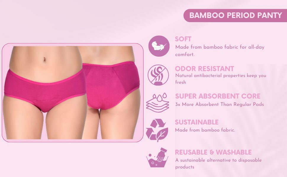 Bamboo Fabric Reusable Period Panty 5 Layer – Absorbent & Leak Proof - Pack Of 1 - EarthBased 