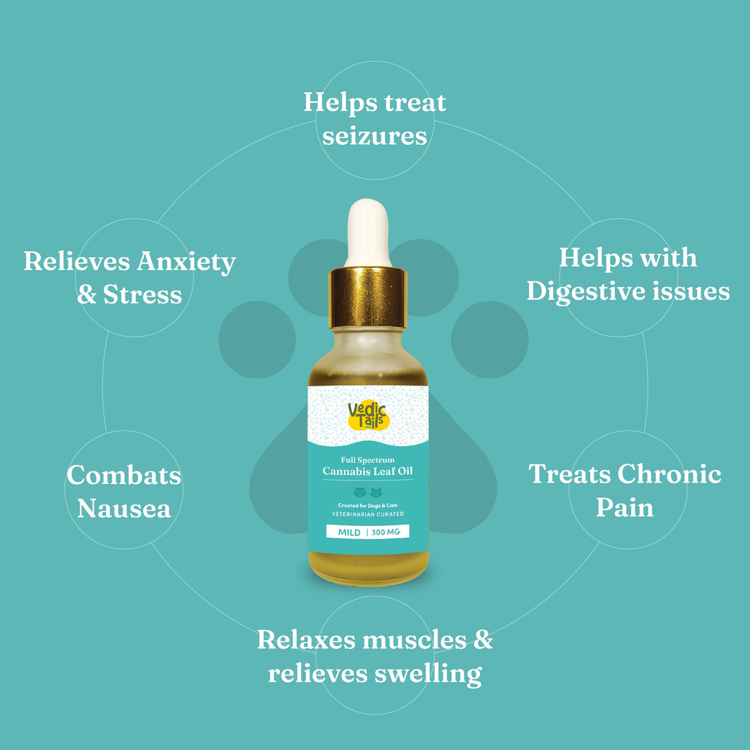 Vedic Tails Full Spectrum Cannabis leaf extract - EarthBased 