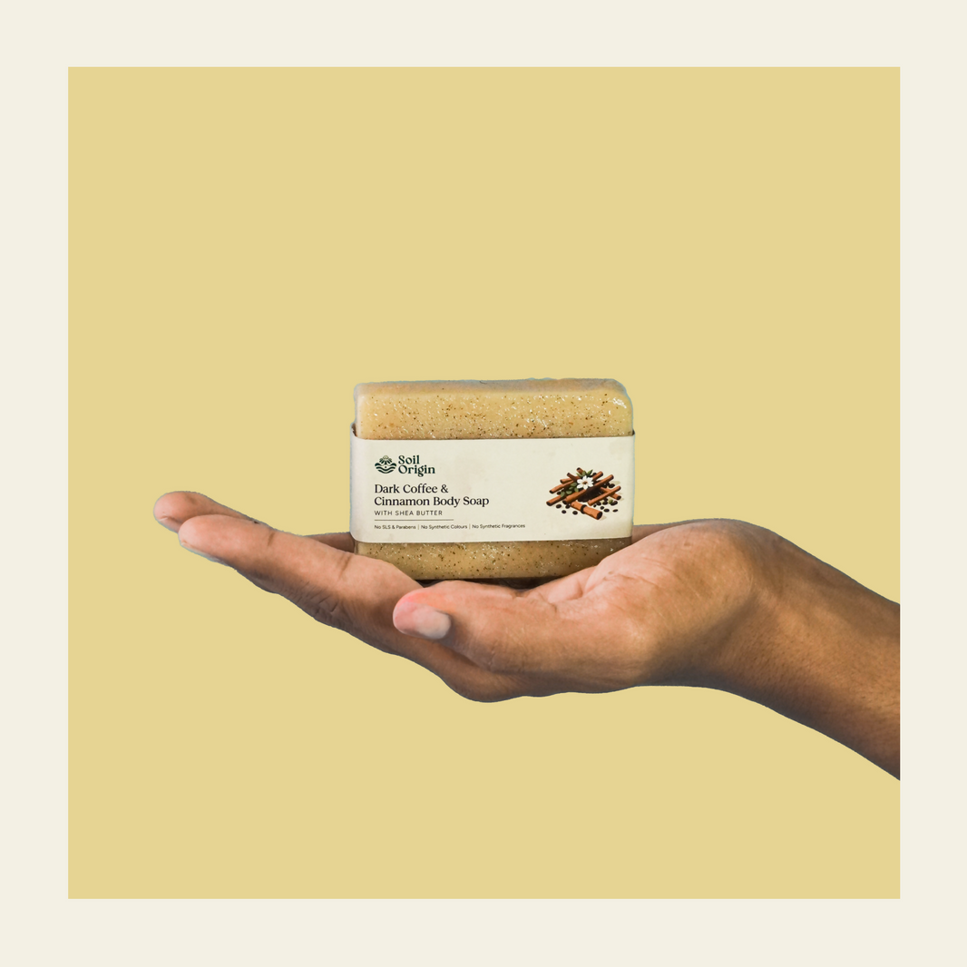 ⁠Dark Coffee and Cinnamon Body Soap With Shea Butter - 100 Gm | Pack of 2 - EarthBased 