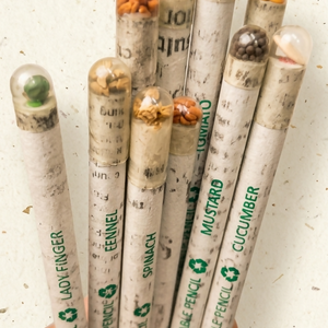 Paper Pencil (Plantable Seed), 2 Packs of 10 – image 2