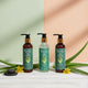 Three bottles of Aloe Vera hair care products on a neutral background with green and beige tones.