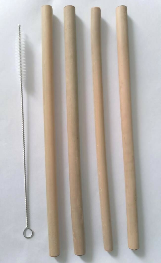 Reusable Bamboo straws Pack of 4 With Straw Cleaner - EarthBased 